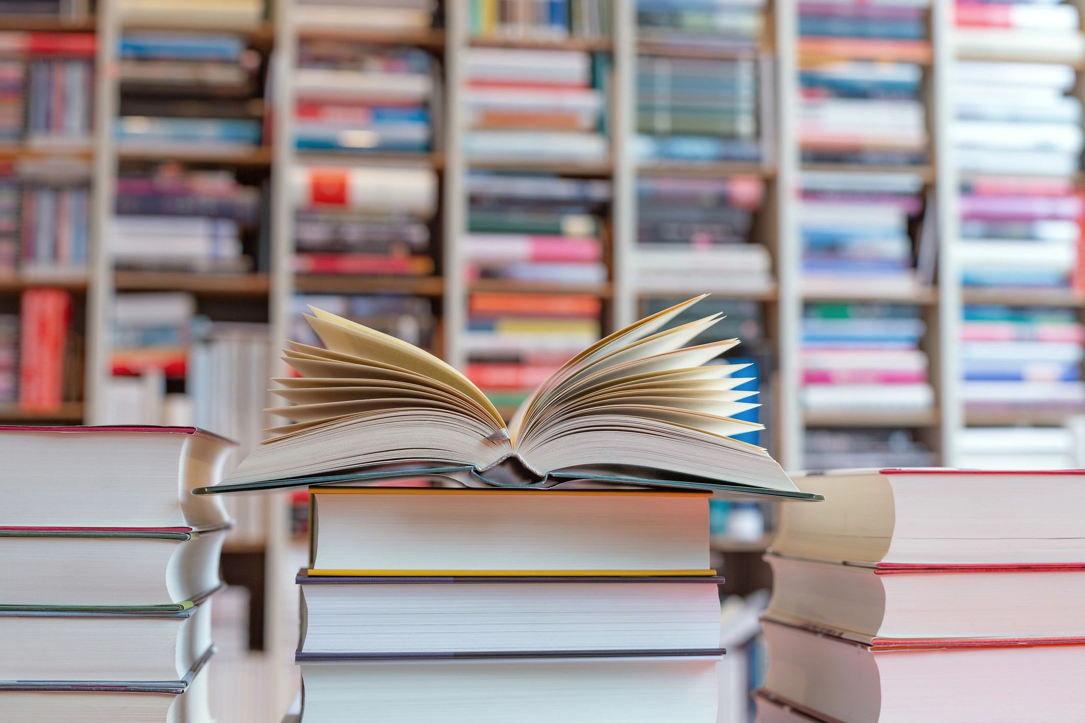 Seasonal Fiction Picks